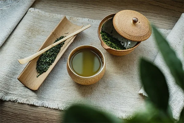 秋野菜の収穫を成功させるコツ！種まきの時期と保存法