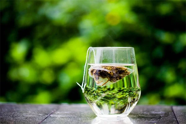サンセベリアの水やり頻度は？正しいタイミングとチェック方法