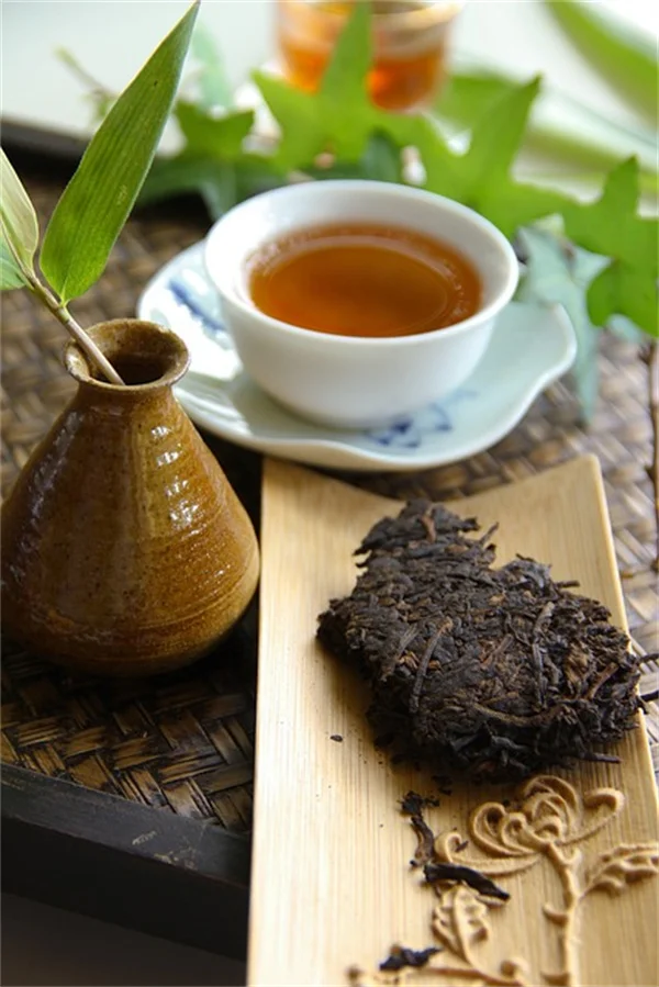 反潮流植物が永遠の美しさを持つ理由