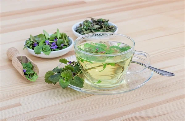 鳥浴盆の蚊対策はたった10ドル！ソーラーファウンテンで驚きの効果を実感する具体的な方法