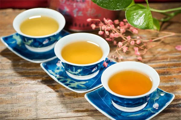 クリスマスに飾る植物、知っておきたい3つのコツ